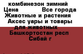 комбинезон зимний › Цена ­ 1 300 - Все города Животные и растения » Аксесcуары и товары для животных   . Башкортостан респ.,Сибай г.